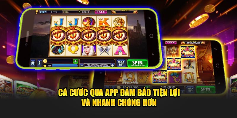 Cá cươc qua app đảm bảo tiện lợi và nhanh chóng hơn 