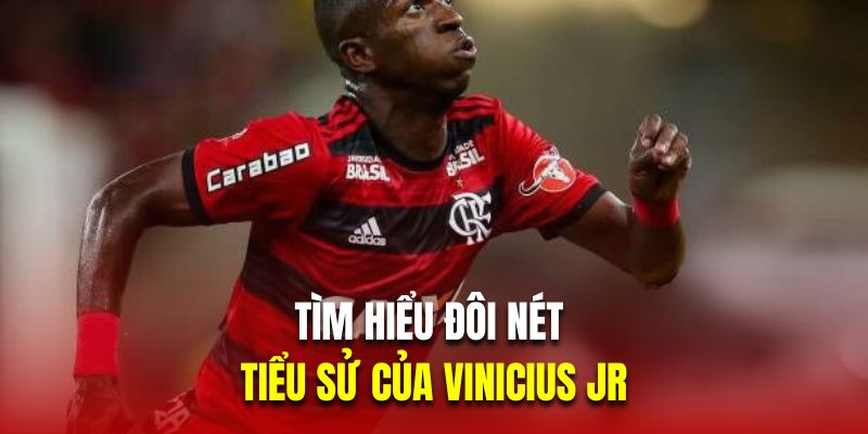 Tìm hiểu đôi nét về tiểu sử của Vinicius 